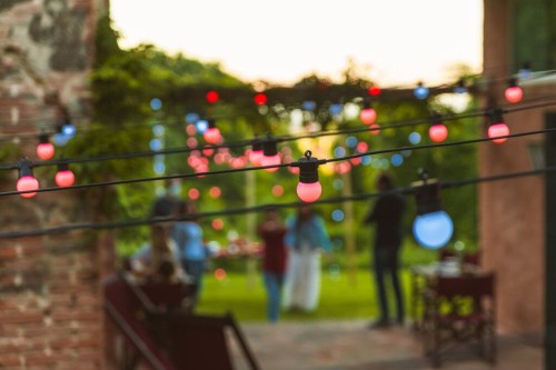 medium-TW_2021-FESTOON_0002.jpg