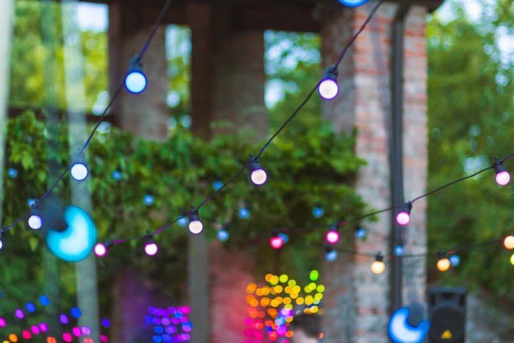 medium-TW_2021-FESTOON_0059.jpg