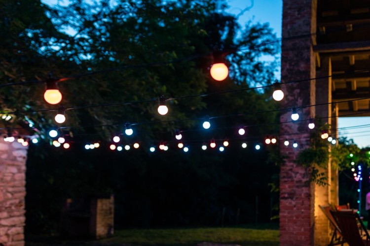 medium-TW_2021-FESTOON_0247.jpg