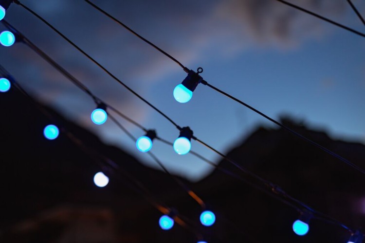 medium-TW_2021-FESTOON_7465.jpg