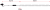 c392d80f1c47bcf736e861ed79388962