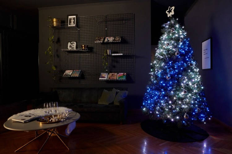 9c0a2707c04d25f7f52deb4cafafeb3d