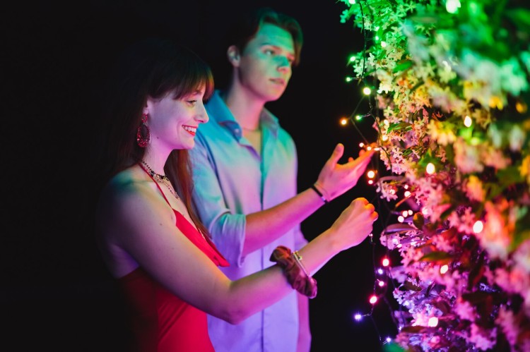 401d8a7157b82c23298f57b2212740d4