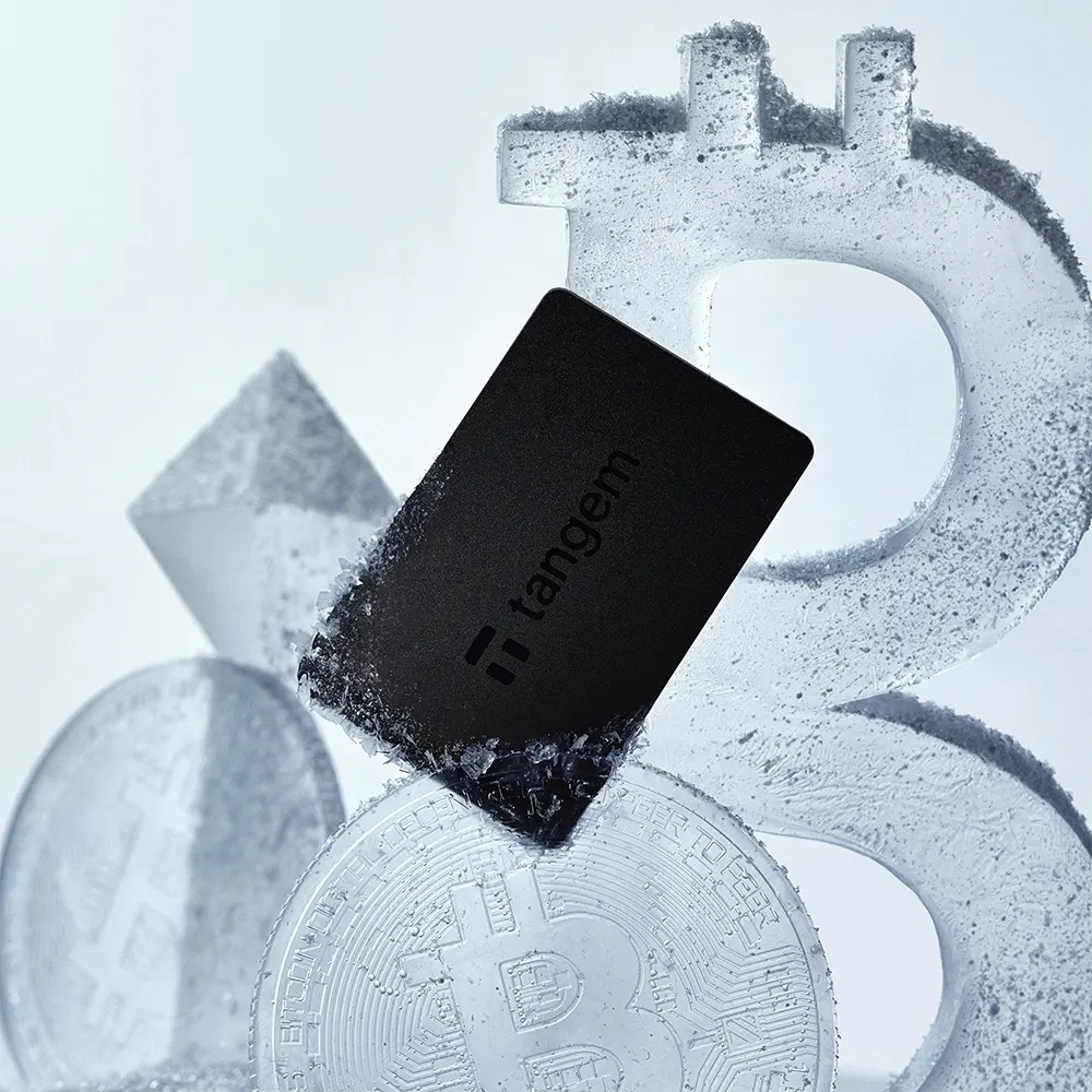 Portfel do kryptowalut
